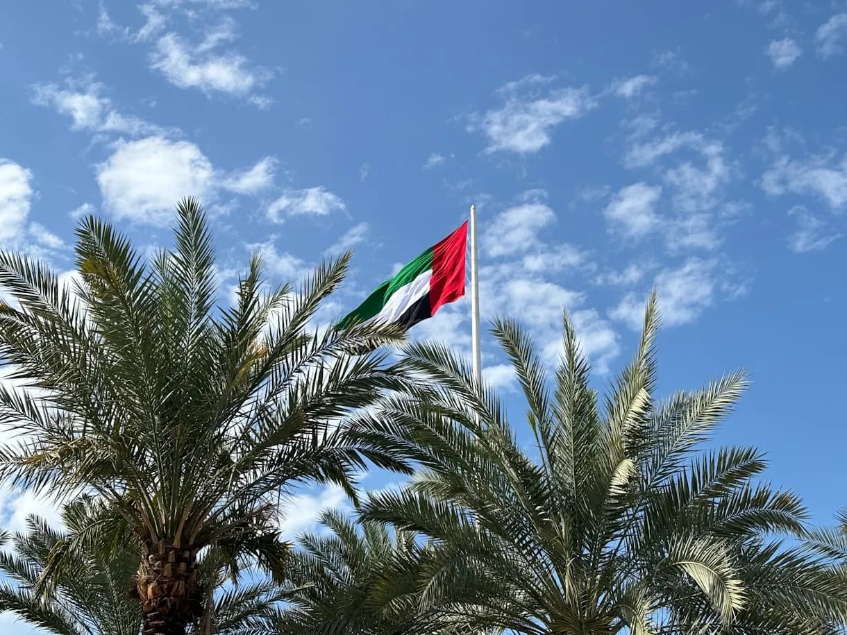 UAE flags with Dubai skyline